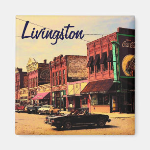 Aimant de Livingston Montana
