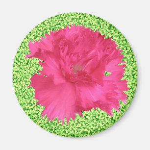 Aimant de l'oeillet rose