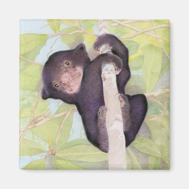 Aimant de l'ours solaire (Devant)