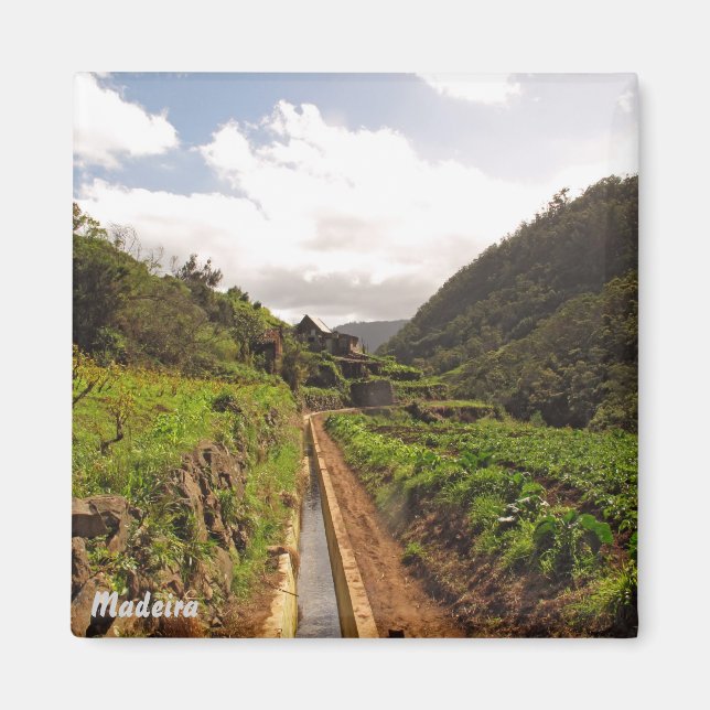 Aimant de Madère - Levada do Caniçal (Devant)