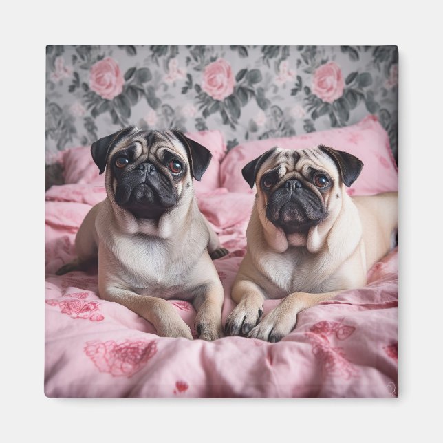 Aimant De magnifiques chiens de Carlin sur une couverture (Devant)