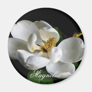 Aimant de magnolia