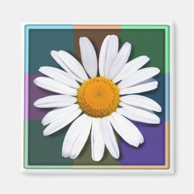 Aimant de marguerite (Devant)