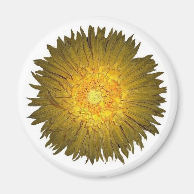 Aimant de marguerite (Devant)