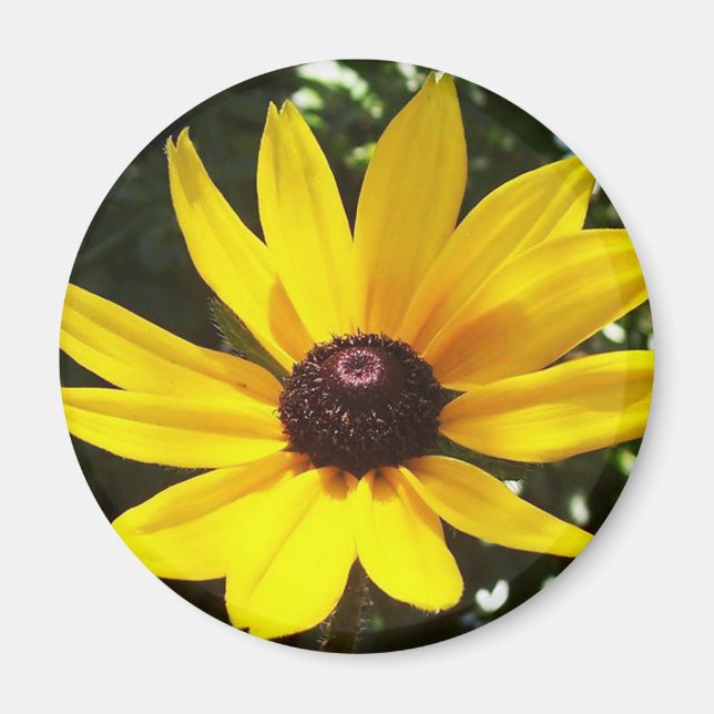 Aimant de marguerite jaune (Devant)
