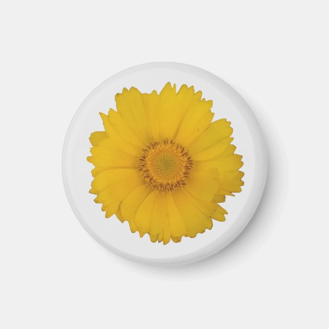 Aimant de marguerite jaune (Devant)