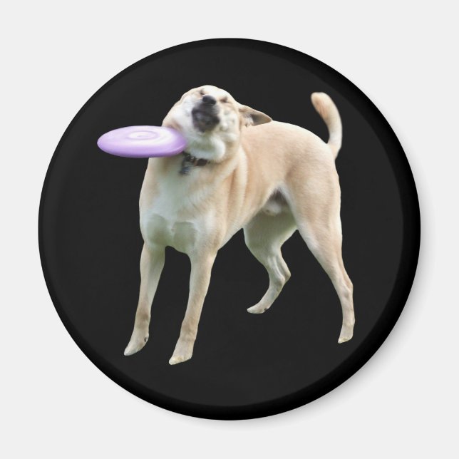 Aimant de mème de chien de Frisbee (Devant)