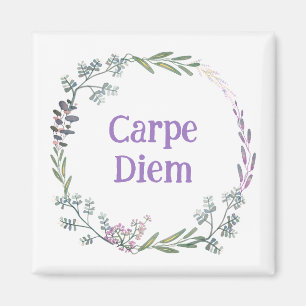Aimant de mémoire carpe