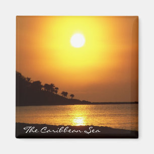 Aimant de mer des Caraïbes de Cancun Mexique de