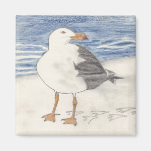 Aimant de MOUETTE (carré)