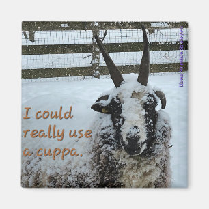 Aimant de mouton de café n° 1 - Précieux