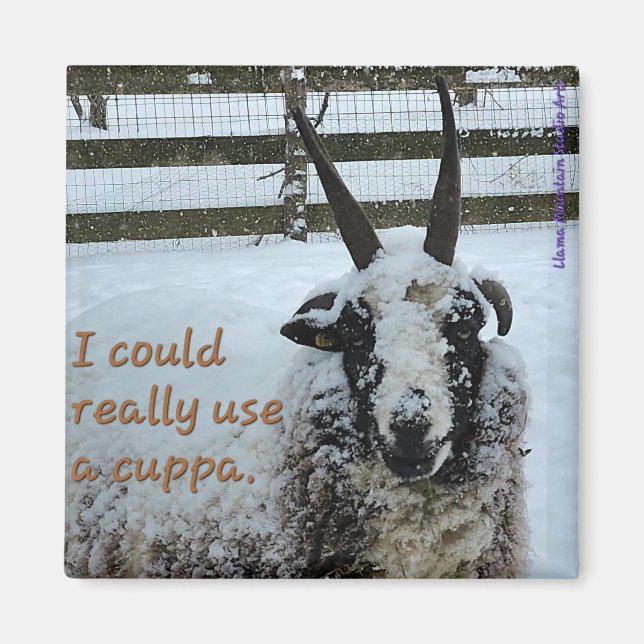 Aimant de mouton de café n° 1 - Précieux (Devant)