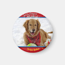 Aimant de Noël Barticus