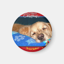 Aimant de Noël Barticus