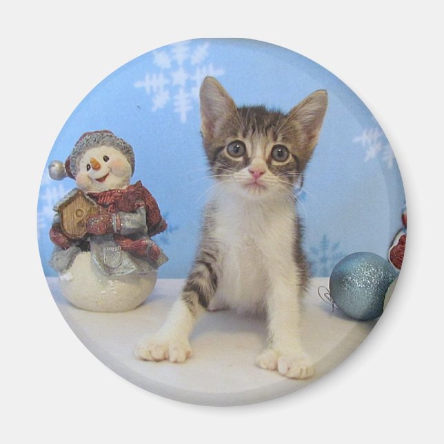 Aimant de Noël - Chat / Chaton (Devant)