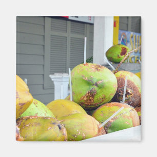Aimant de noix de coco de Key West FL de l'eau de