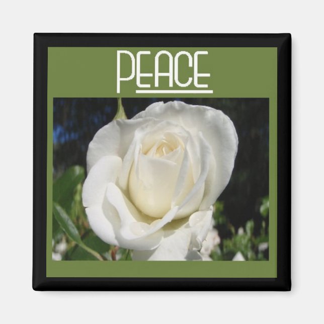 aimant de paix (Devant)