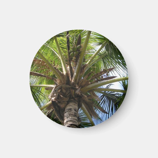 Aimant de palme de coco (Devant)