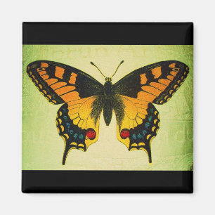 aimant de papillon