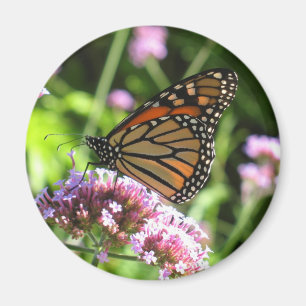 Aimant de papillon de monarque