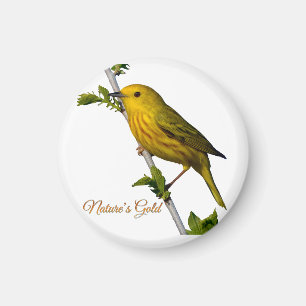 Aimant de Paruline jaune "L’or de la nature"
