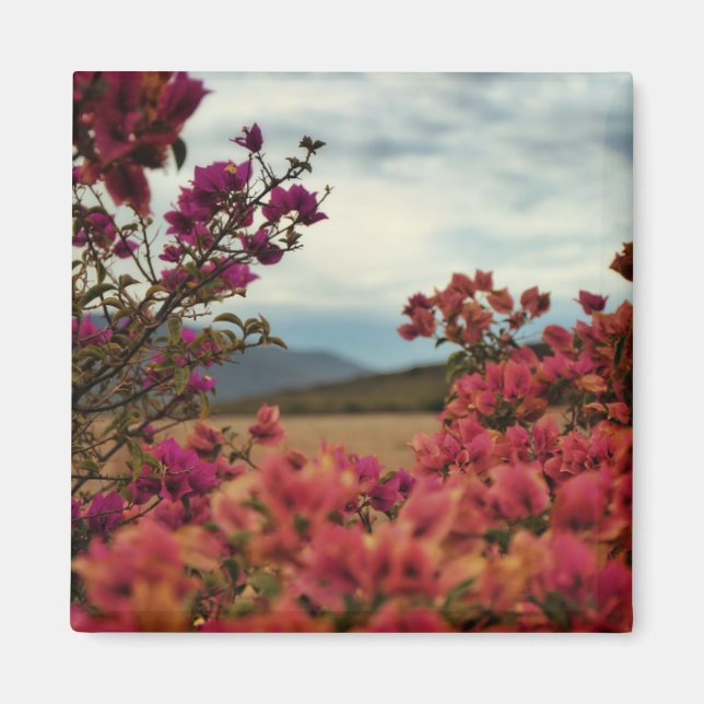 Aimant de paysage de fleurs de bougainvillea rouge (Devant)