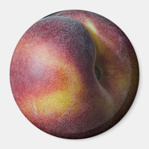 Aimant de pêche
