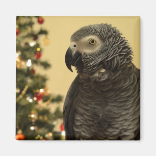 Aimant de perroquet de Noël