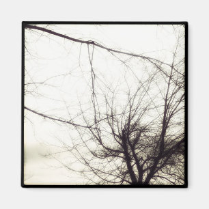 aimant de photo d'instagram
