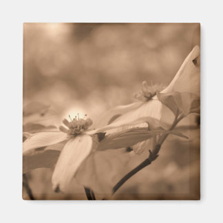 Aimant de photographie de fleur de cornouiller de