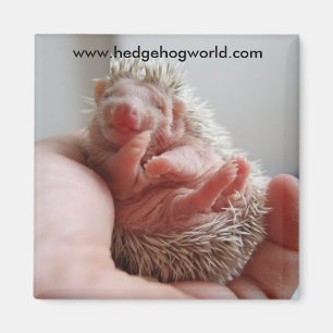 Aimant de pieds de bébé