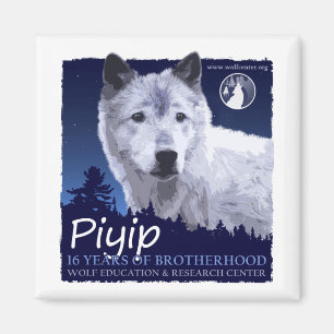 Aimant de Piyip