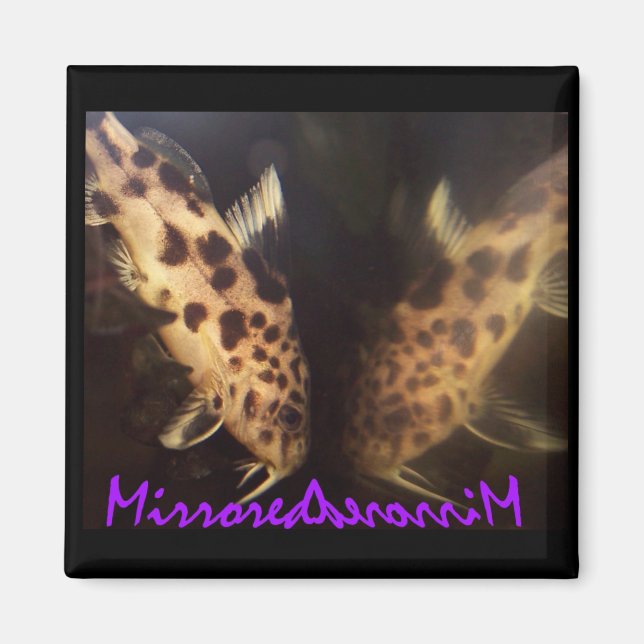 Aimant de poisson catamaran (mis en miroir) (Devant)