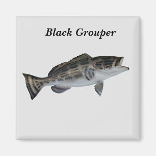 Aimant de poisson du Groupement noir
