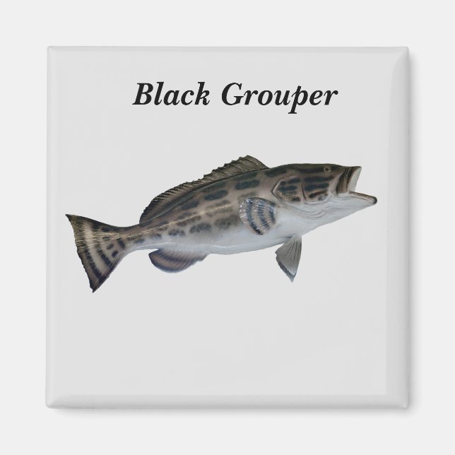 Aimant de poisson du Groupement noir (Devant)