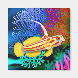 Aimant de poissons de Goby de crevette de Yasha