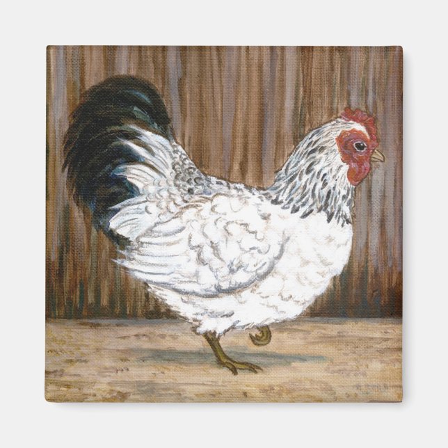 Aimant de poulet blanc (Devant)