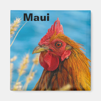 Aimant de poulet Maui