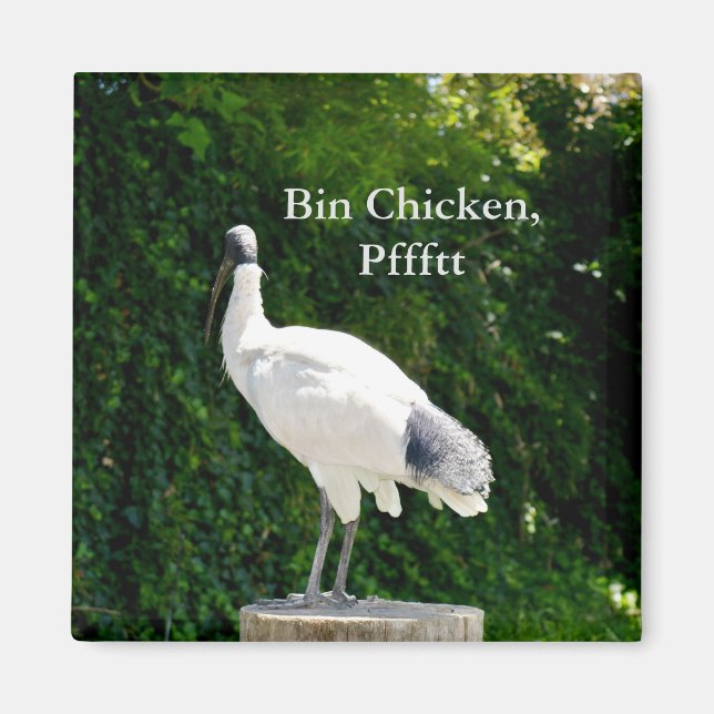 Aimant De Poulets De Corne (Ibis) (Devant)