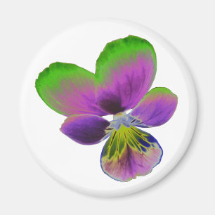 Aimant de purple et vert