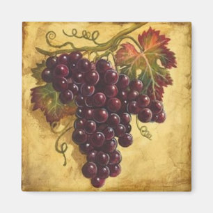 Aimant de raisin