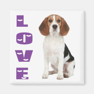 Aimant de réfrigérateur Chien Beagle Puppy Amour