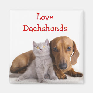 Aimant de réfrigérateur Dachshund et chaton d'amou