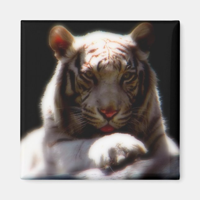 Aimant de réfrigérateur d'art de la nature (Devant)