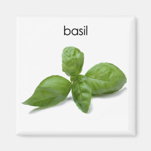 Aimant de réfrigérateur de Basil