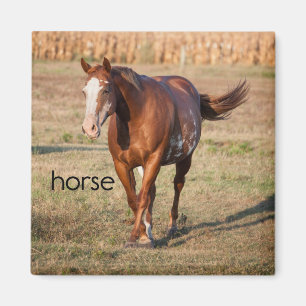 Aimant de réfrigérateur de cheval