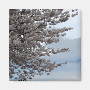 Aimant de réfrigérateur de fleur d'arbre