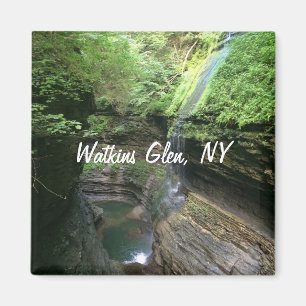 Aimant de réfrigérateur de gorge de Watkins