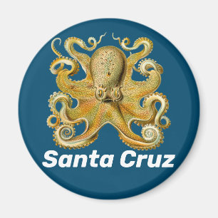 Aimant de réfrigérateur de Santa Cruz