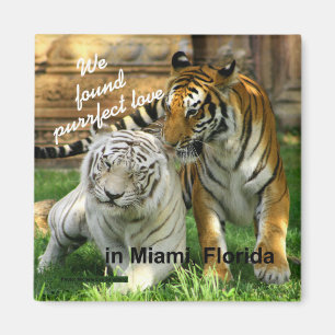 Aimant de réfrigérateur de tigre d'amour de Miam